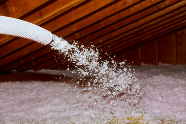 Best DIY Insulation Kits and Guidance in Rockwell City, IA