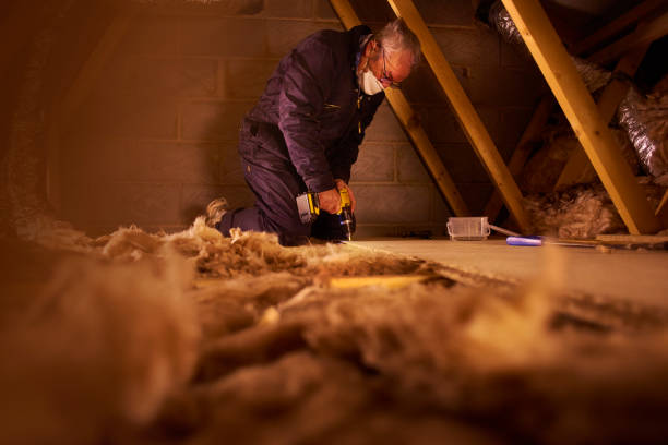 Best Eco-Friendly Insulation in Rockwell City, IA