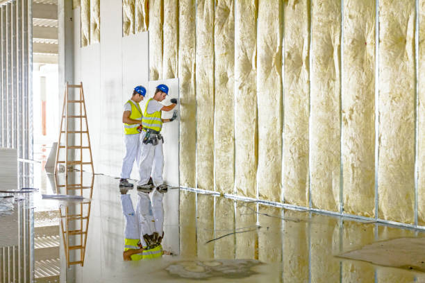 Best Commercial Insulation in Rockwell City, IA